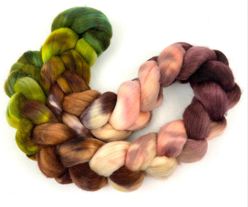 Angus MG - 4 oz hand painted wool combed top, roving, spinning fiber, handspinning, felting