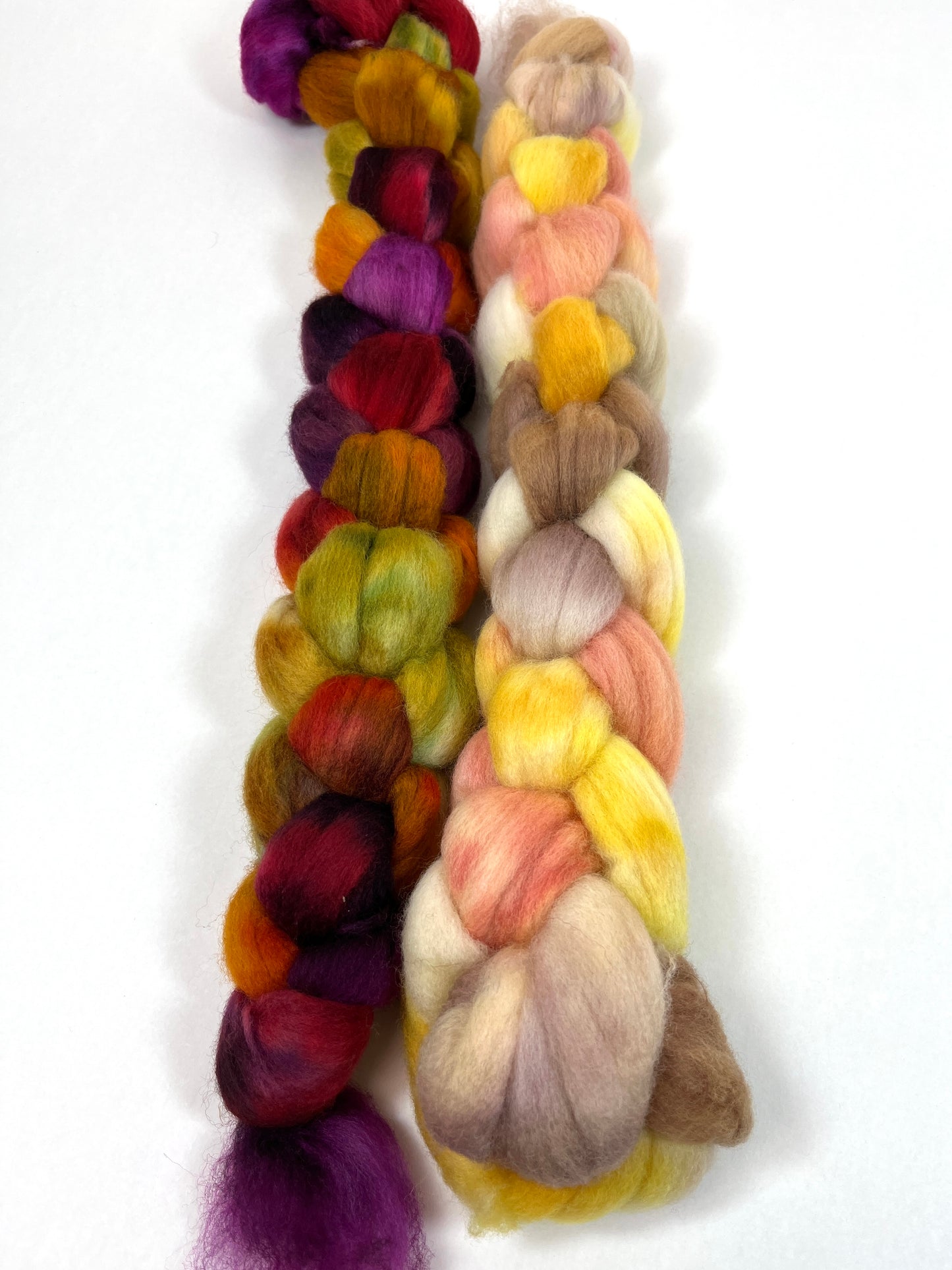 Curried Beets and Seashells combo - 4 oz total, Polwarth wool combed top, roving, spinning fiber, handspinning, felting