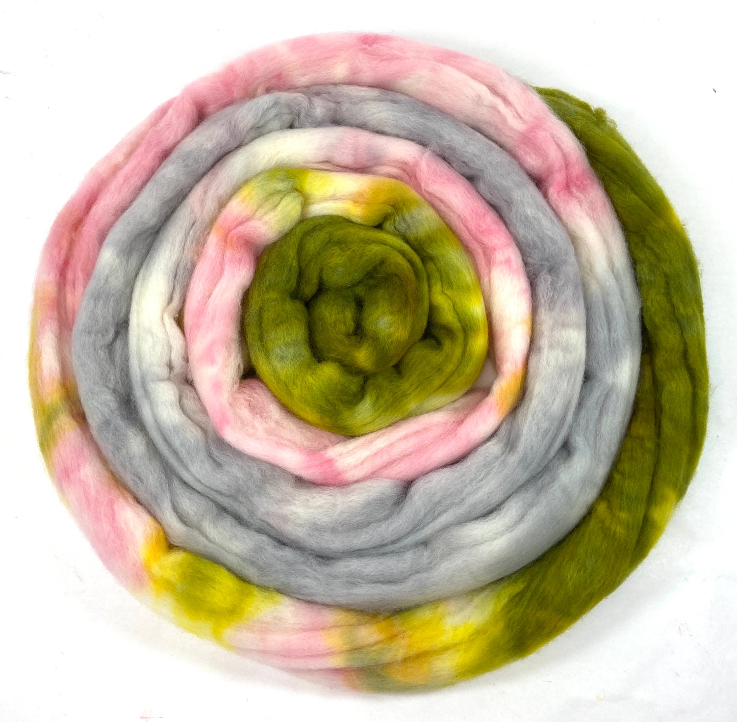 Braaains! MG - 4 oz hand painted wool combed top, roving, spinning fiber, handspinning, felting