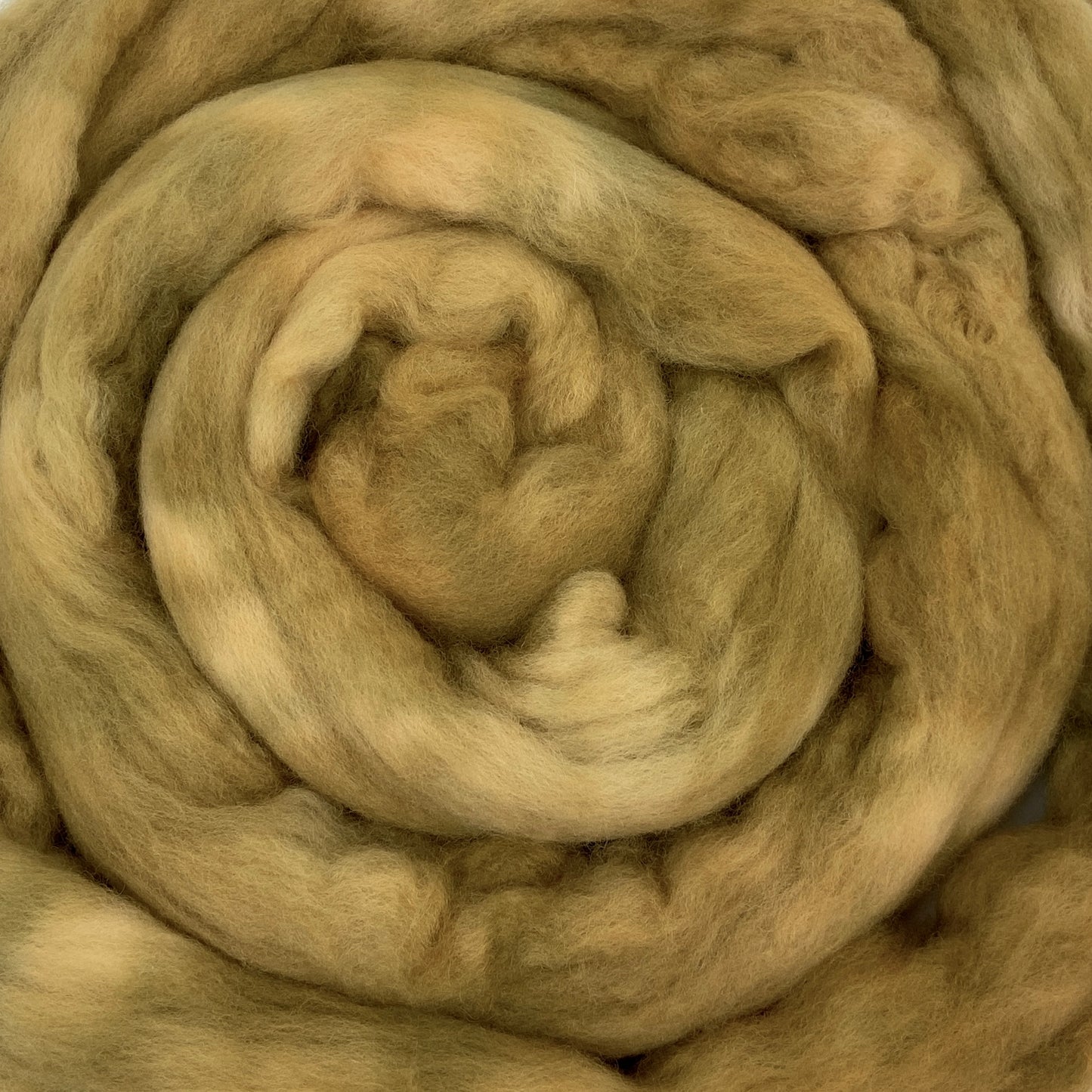 Olive Beige - 2 oz hand dyed semisolid wool combed top