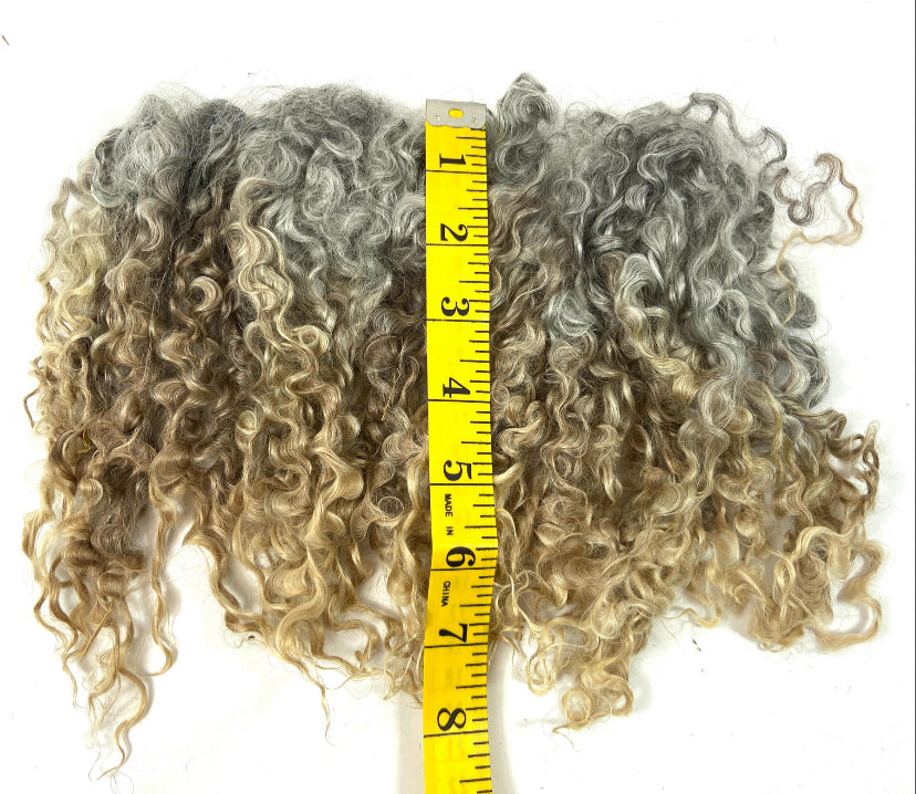 Undyed Long Natural Gray Wensleydale locks, 1.1 oz, clean, separated, spinning, felting, fiber art, doll hair, nuno, lockspun yarn, 0725-05
