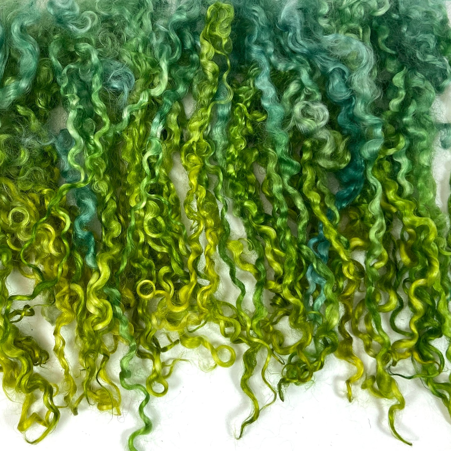 Wensleydale Locks, 6-7 inches long, super clean, spinning, felting, fiber art, doll hair, nuno, lockspun yarn 1117-01