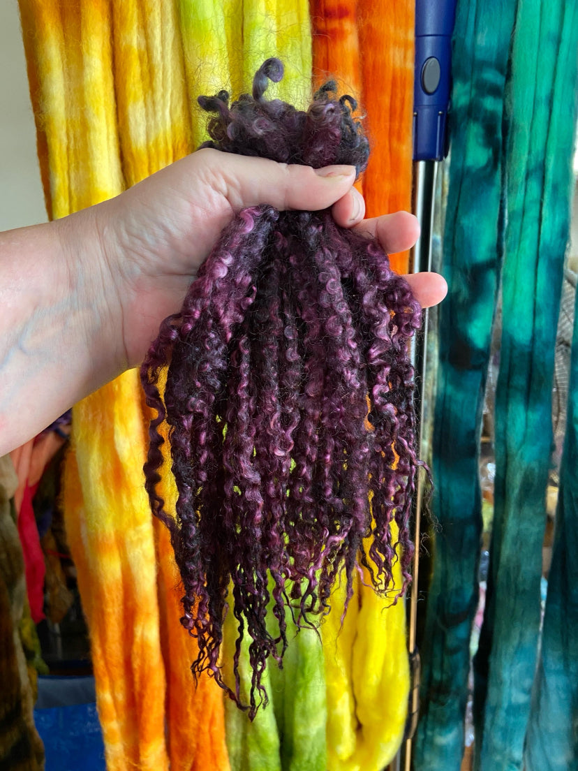 Teeswater LONG locks, Raisin, 10-11 inches, .9 oz, 1004-02, separated, super clean, spinning, felting, fiber art, doll hair, wool locks, reroot