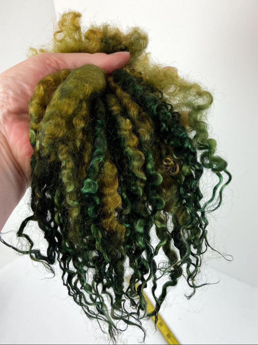 Teeswater LONG locks, 10 inches, 1023-03, separated, super clean, spinning, felting, fiber art, doll hair, wool locks, reroot