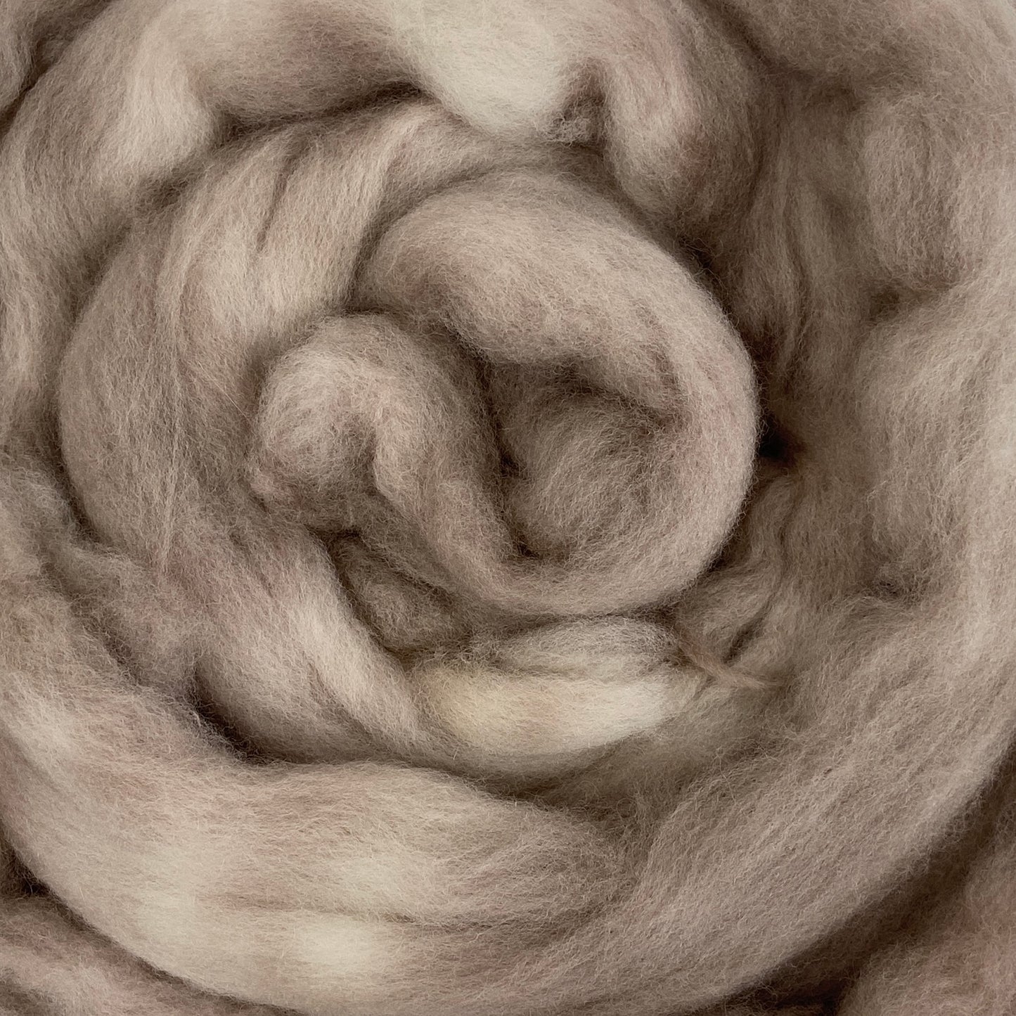 Mouse - 2 oz hand dyed semisolid wool combed top