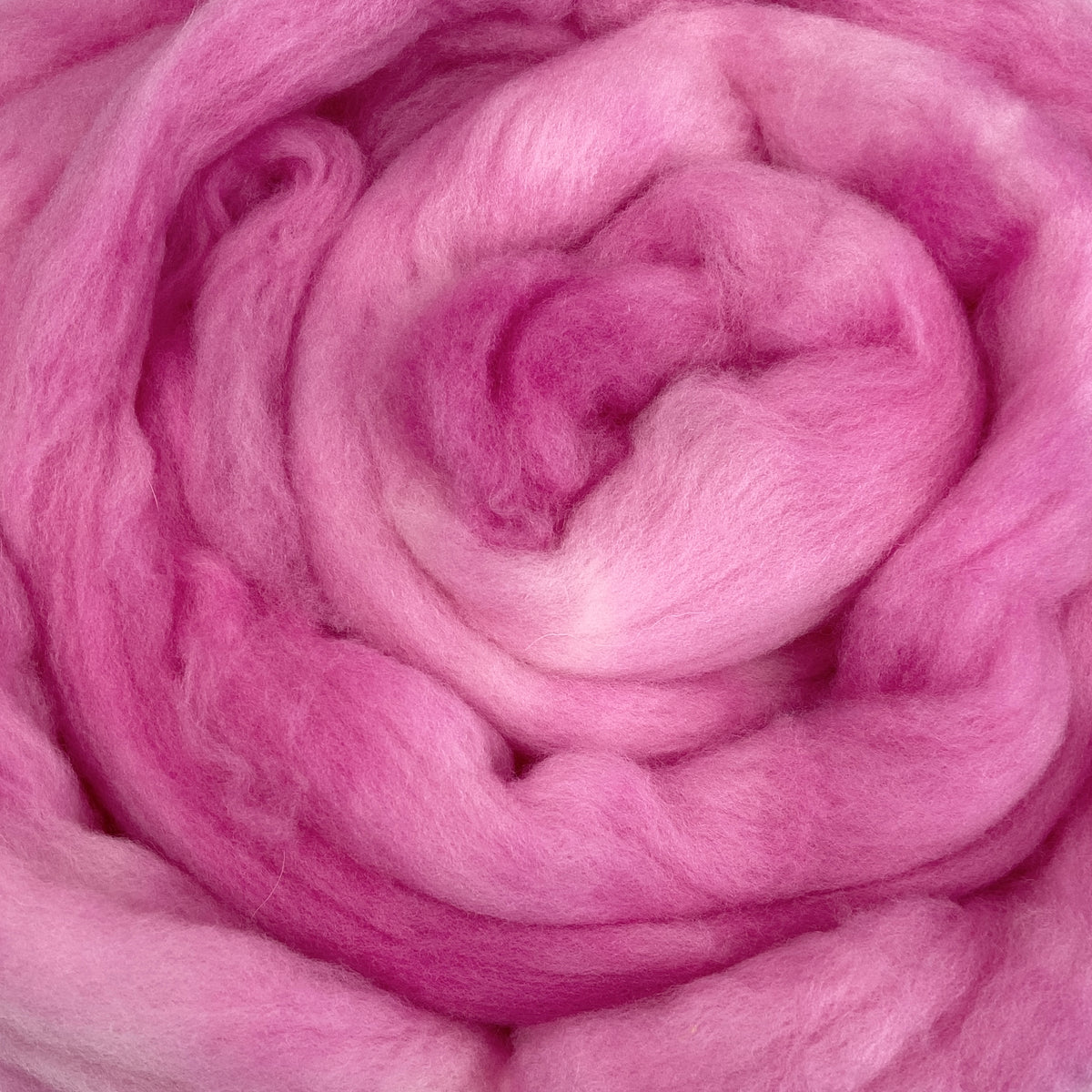 Carnation Pink - 2 oz hand dyed semisolid wool combed top