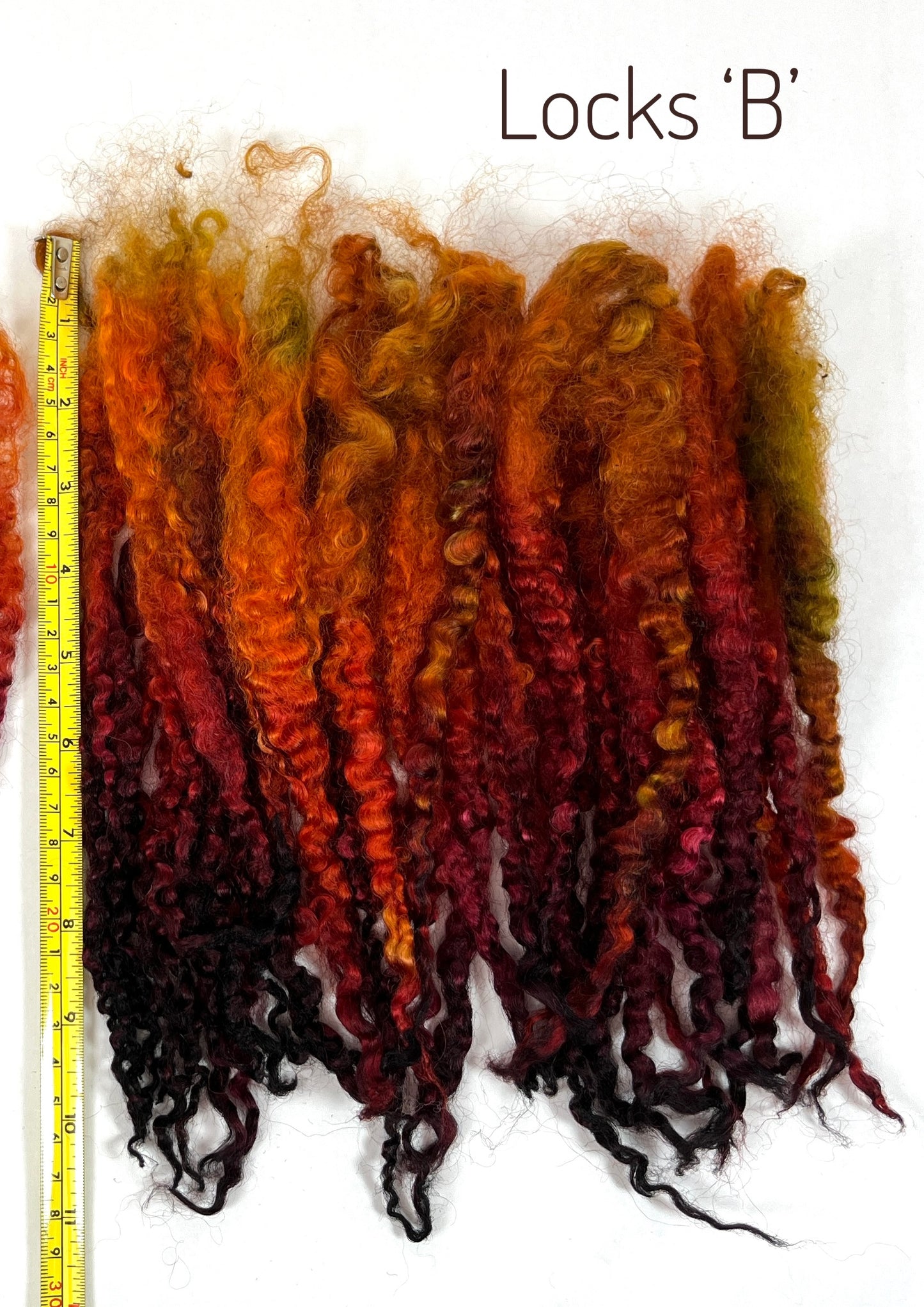 Teeswater LONG locks, Curried Beets, 11-12 inches, separated, super clean, spinning, felting, fiber art, doll hair, wool locks, reroot