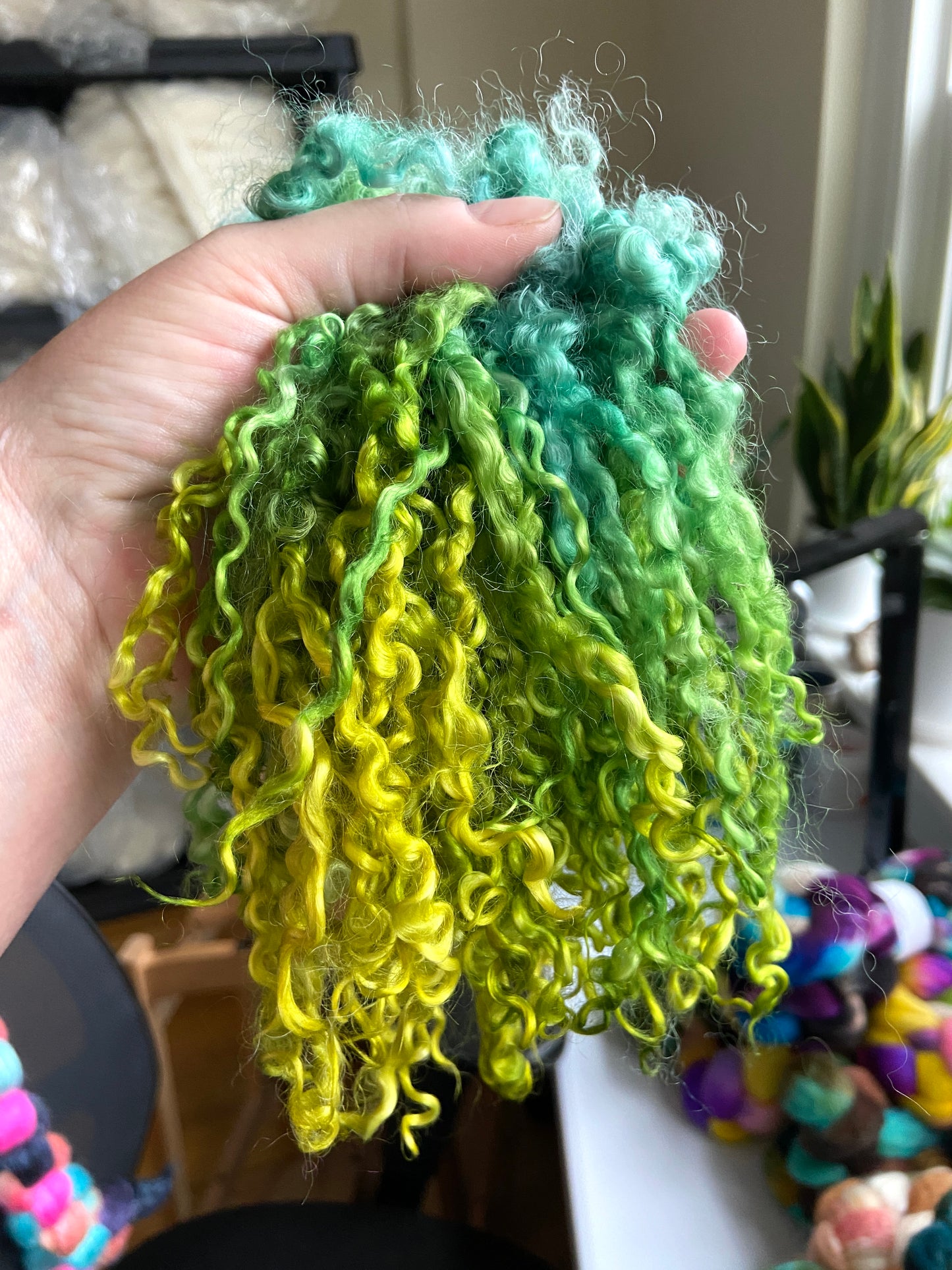 Wensleydale Locks, 6-7 inches long, super clean, spinning, felting, fiber art, doll hair, nuno, lockspun yarn 1117-01