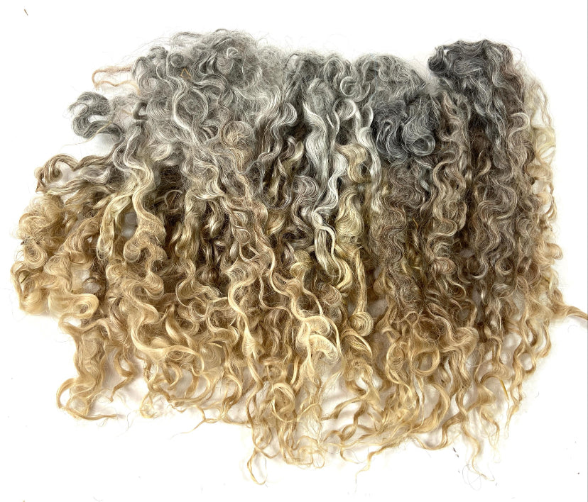 Undyed Long Natural Gray Wensleydale locks, 1.1 oz, clean, separated, spinning, felting, fiber art, doll hair, nuno, lockspun yarn, 0725-05