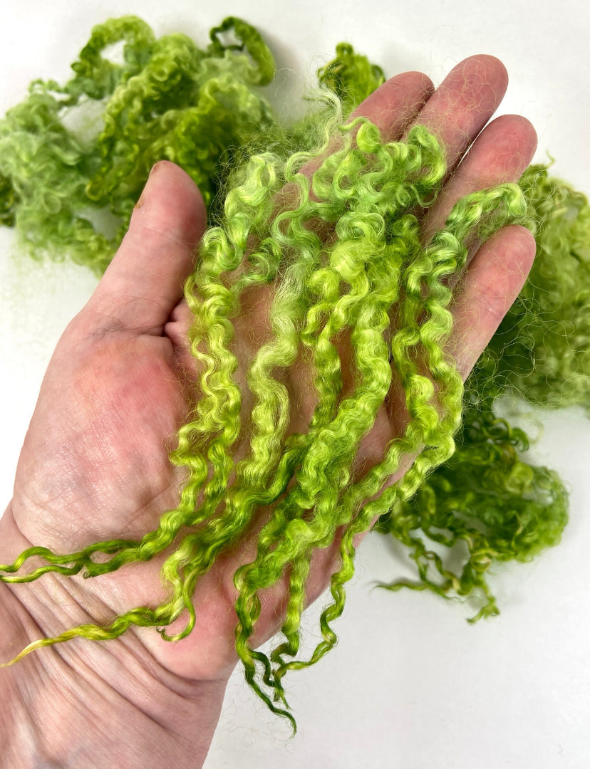 Wensleydale locks, 1.2 oz, 5-7 inches long, super clean, spinning, felting, fiber art, doll hair, nuno, lockspun yarn 0509-04