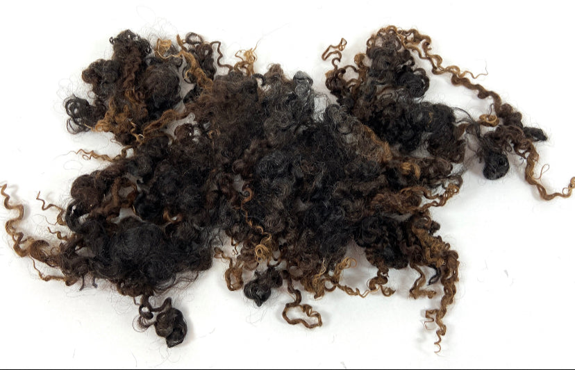 Undyed Long Dark Gray Brown Wensleydale locks, 1 oz, clean, separated, spinning, felting, fiber art, doll hair, nuno, lockspun yarn, 0618-04