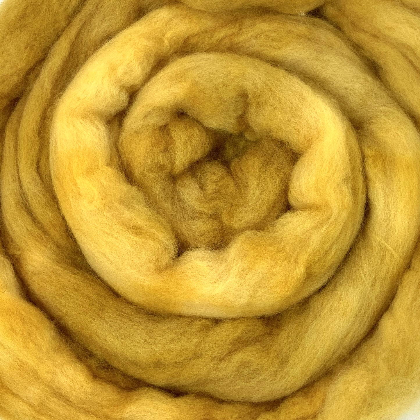 Yellow Ochre - 2 oz hand dyed semisolid wool combed top