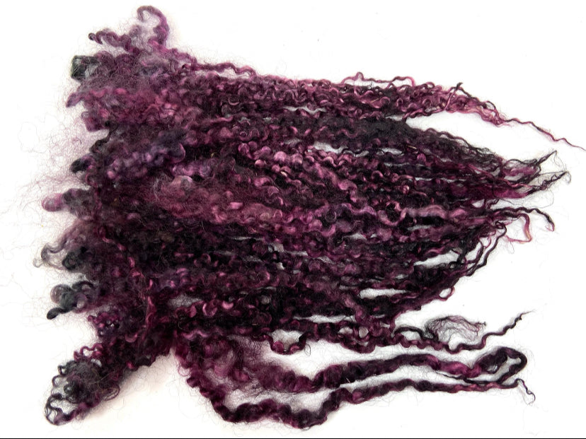Teeswater LONG locks, Raisin, 10-11 inches, .9 oz, 1004-02, separated, super clean, spinning, felting, fiber art, doll hair, wool locks, reroot
