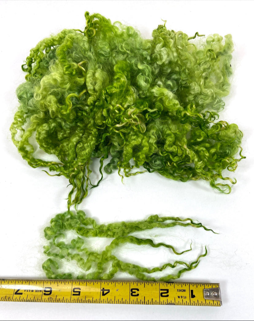 Wensleydale locks, 1.2 oz, 5-7 inches long, super clean, spinning, felting, fiber art, doll hair, nuno, lockspun yarn 0509-04
