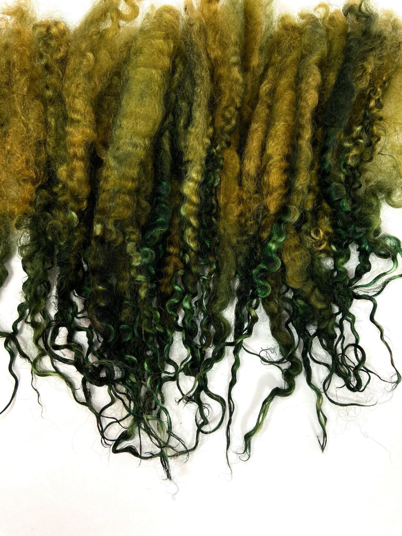 Teeswater LONG locks, 10 inches, 1023-03, separated, super clean, spinning, felting, fiber art, doll hair, wool locks, reroot