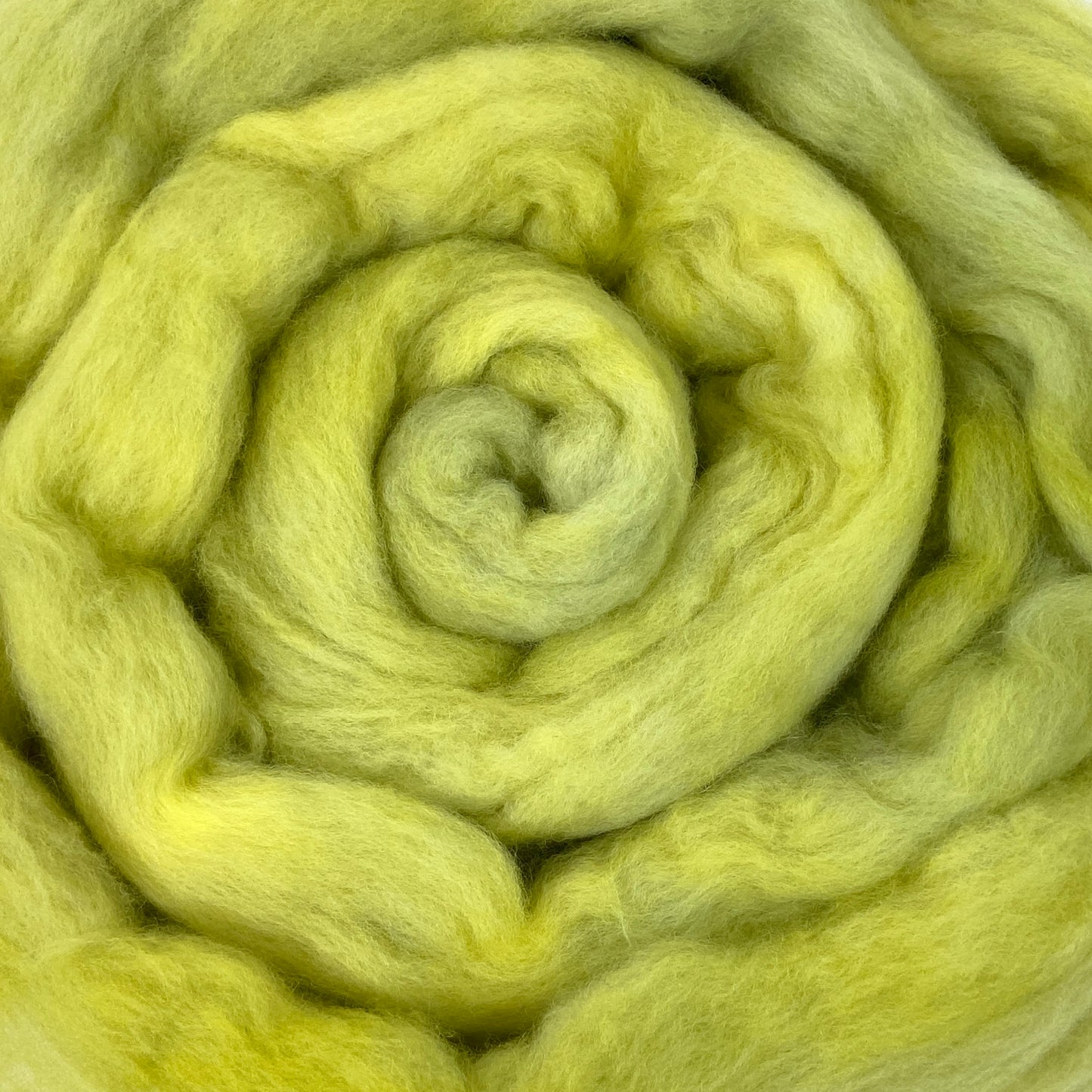 Inchworm - 2 oz hand dyed semisolid wool combed top