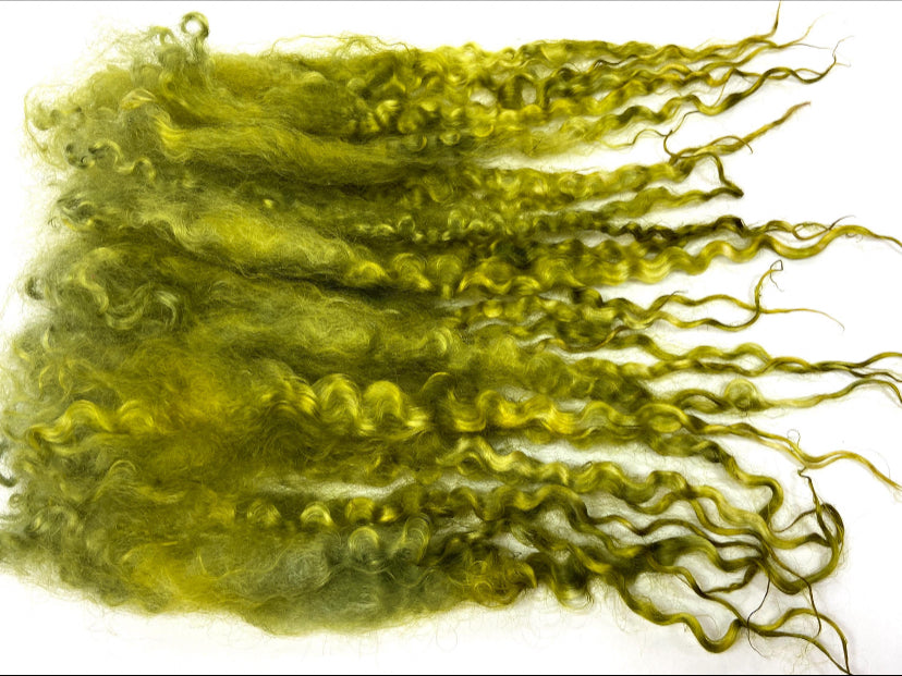 Teeswater LONG locks, Ripe Olive, 10-12 inches, 1004-01, separated, super clean, spinning, felting, fiber art, doll hair, wool locks, reroot