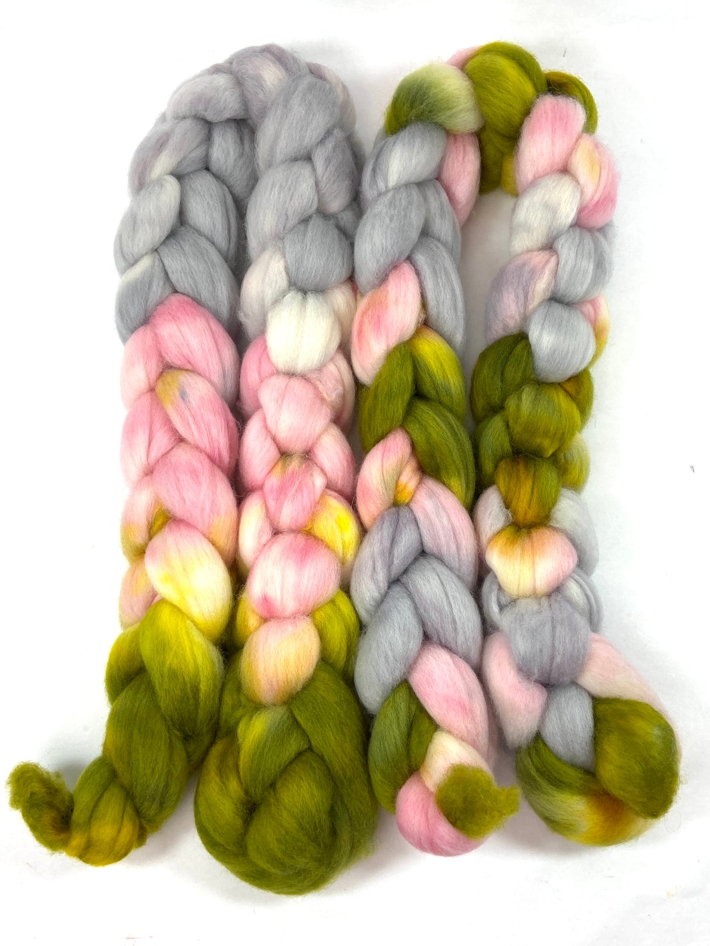 Braaains! SC - 4 oz hand painted wool combed top, roving, spinning fiber, handspinning, felting