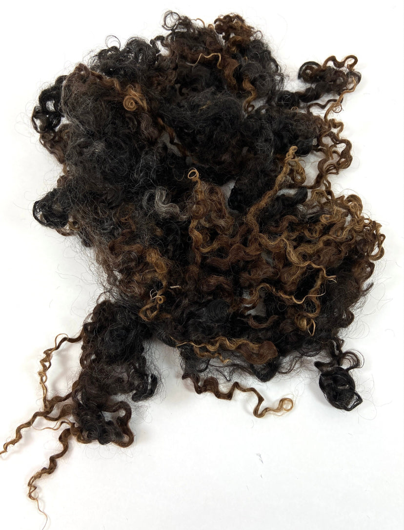 Undyed Long Dark Gray Brown Wensleydale locks, 1 oz, clean, separated, spinning, felting, fiber art, doll hair, nuno, lockspun yarn, 0618-04