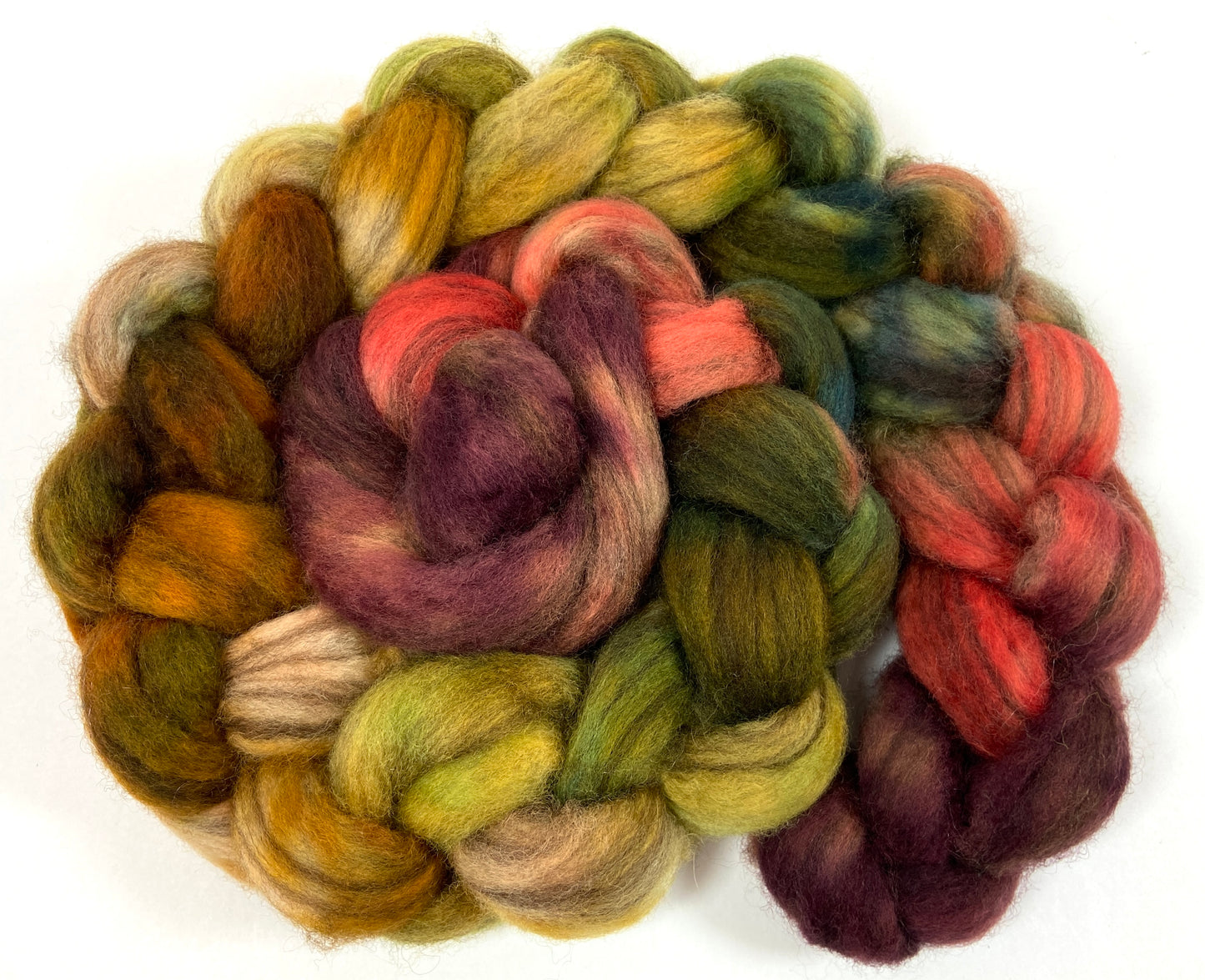 Renaissance MG - 4 oz BFL Swirl wool combed top, roving, spinning fiber, handspinning, felting, needle felting, weaving supplies