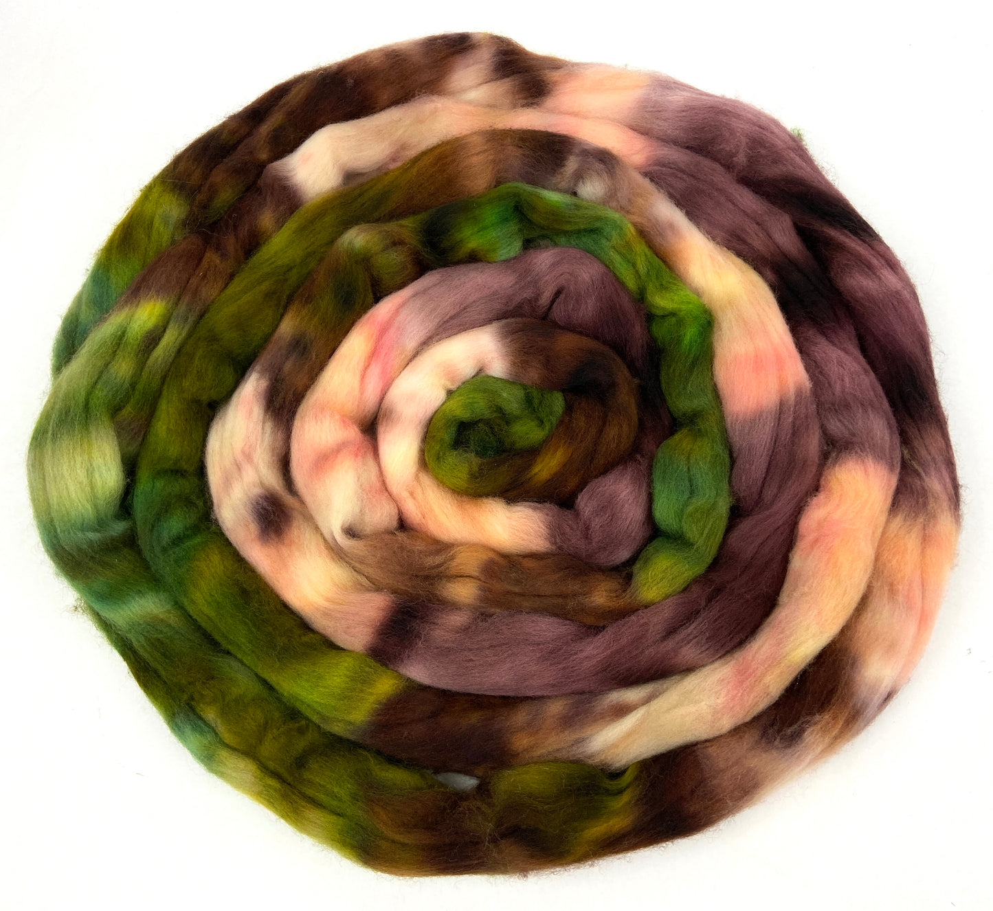 Angus SC - 4 oz hand painted wool combed top, roving, spinning fiber, handspinning, felting