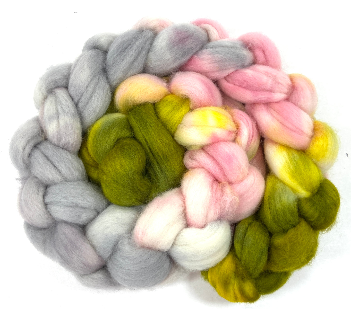 Braaains! MG - 4 oz hand painted wool combed top, roving, spinning fiber, handspinning, felting