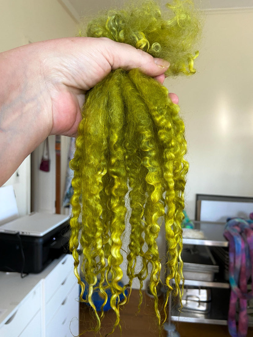 Teeswater LONG locks, Ripe Olive, 10-12 inches, 1004-01, separated, super clean, spinning, felting, fiber art, doll hair, wool locks, reroot