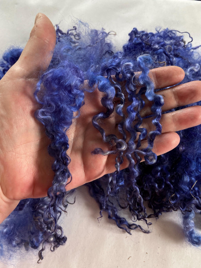 Wensleydale locks 1.4 oz, Blue Hydrangea, 3-5 inches, spinning, cotted, felting, fiber art, doll hair, nuno, art yarn, corespinning 0710-04