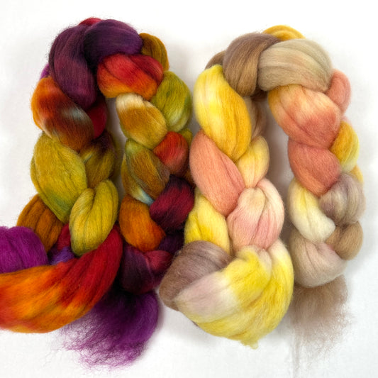 Curried Beets and Seashells combo - 4 oz total, Polwarth wool combed top, roving, spinning fiber, handspinning, felting