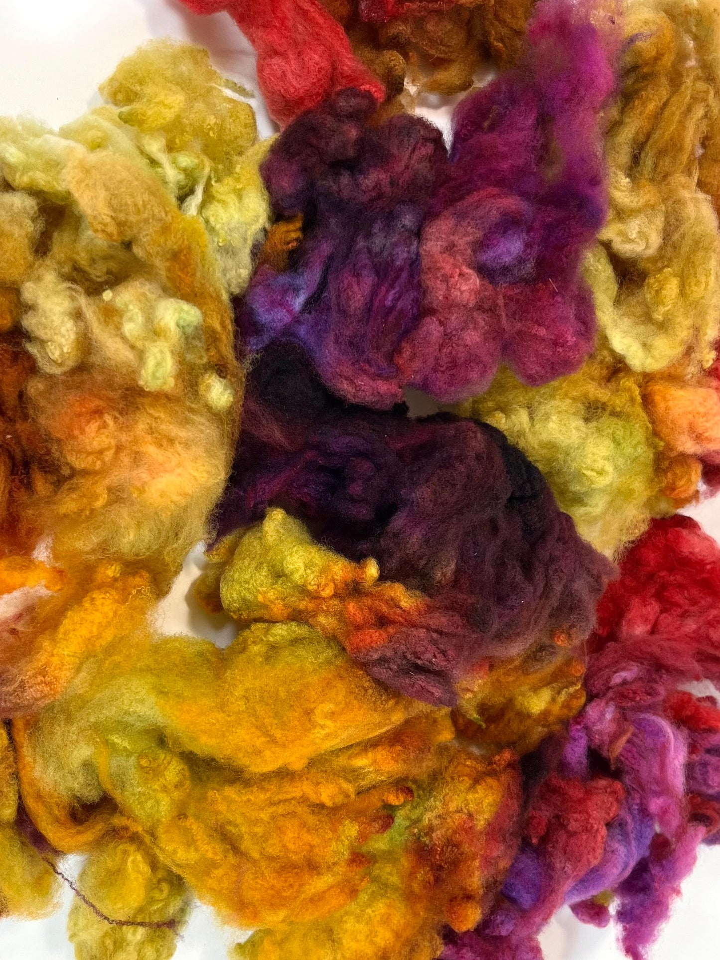 Cormo fleece, 2 ounces, Curried Beets colorway, clean, top quality, spinning, felting, fiber art, doll hair, nuno, art yarn, 0717-01
