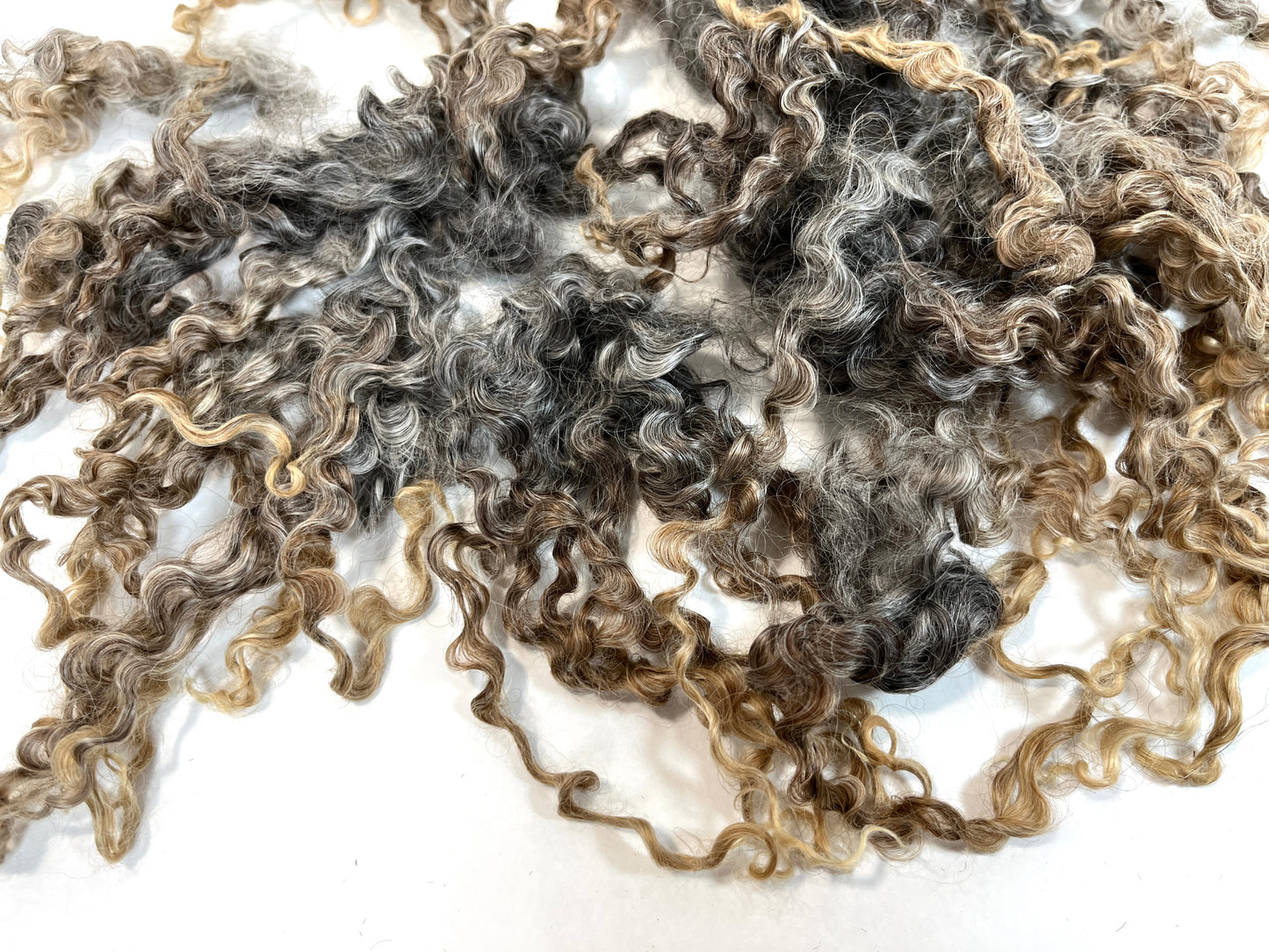 Undyed Long Gray Wensleydale locks, 1.3 ounces, clean, separated, spinning, felting, fiber art, doll hair, nuno, lockspun yarn, 0311-02
