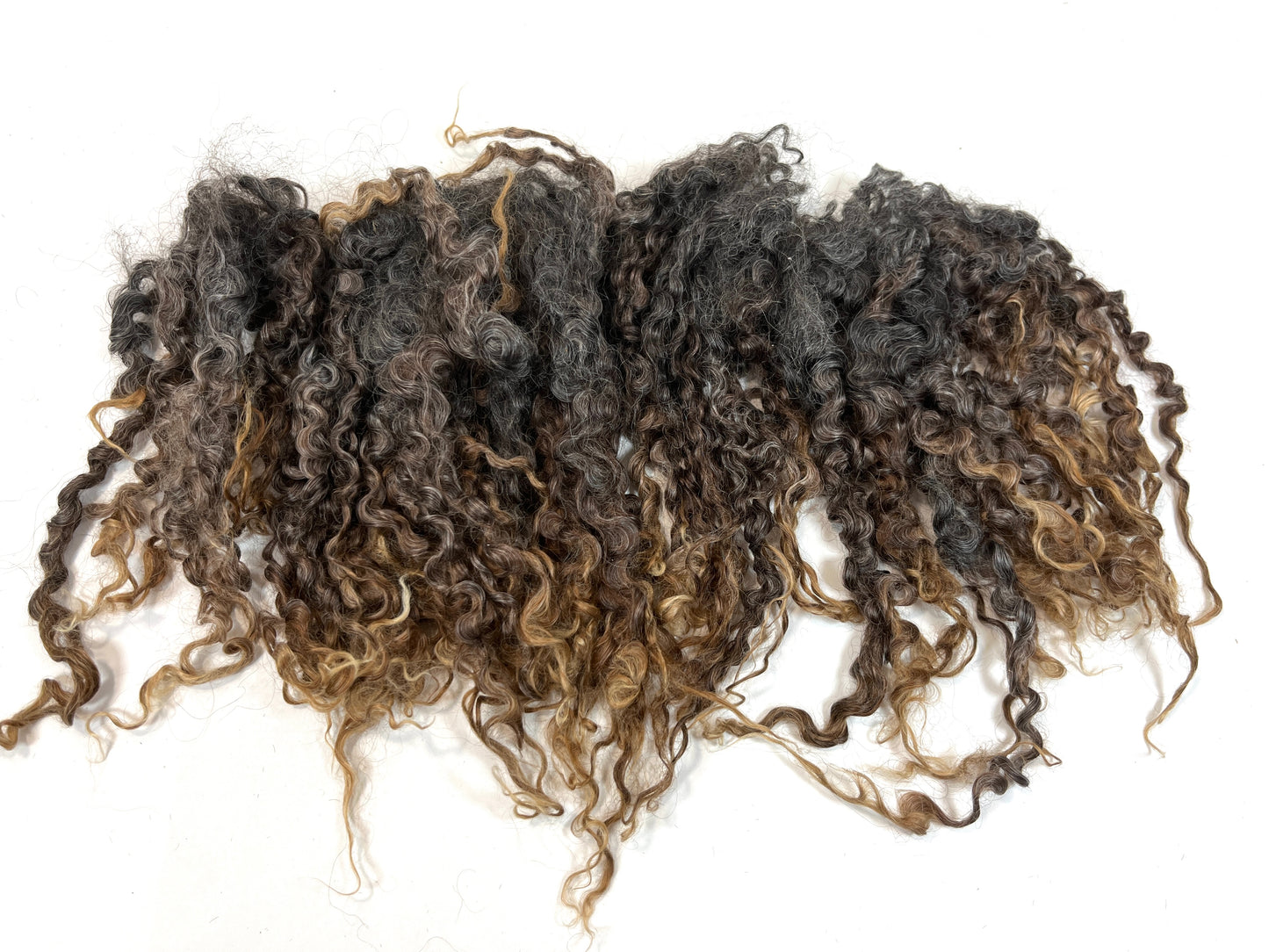 Undyed Long Gray Wensleydale locks, 1.5 ounces, clean, separated, spinning, felting, fiber art, doll hair, nuno, lockspun yarn, 0311-04