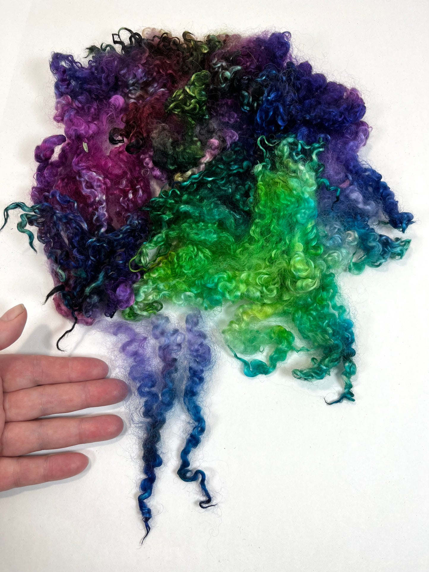 Wensleydale Locks, 1.6 oz, 0615-01, super clean, spinning, felting, fiber art, doll hair, nuno, lockspun yarn