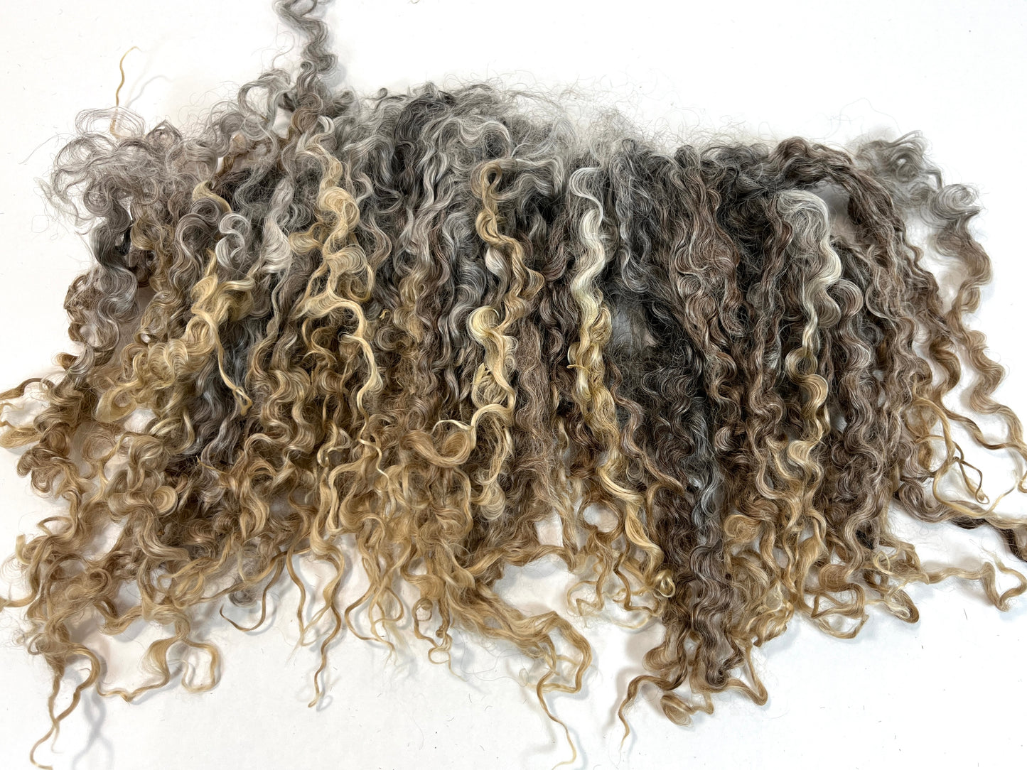 Undyed Long Gray Wensleydale locks, 1.5 ounces, clean, separated, spinning, felting, fiber art, doll hair, nuno, lockspun yarn, 0311-03