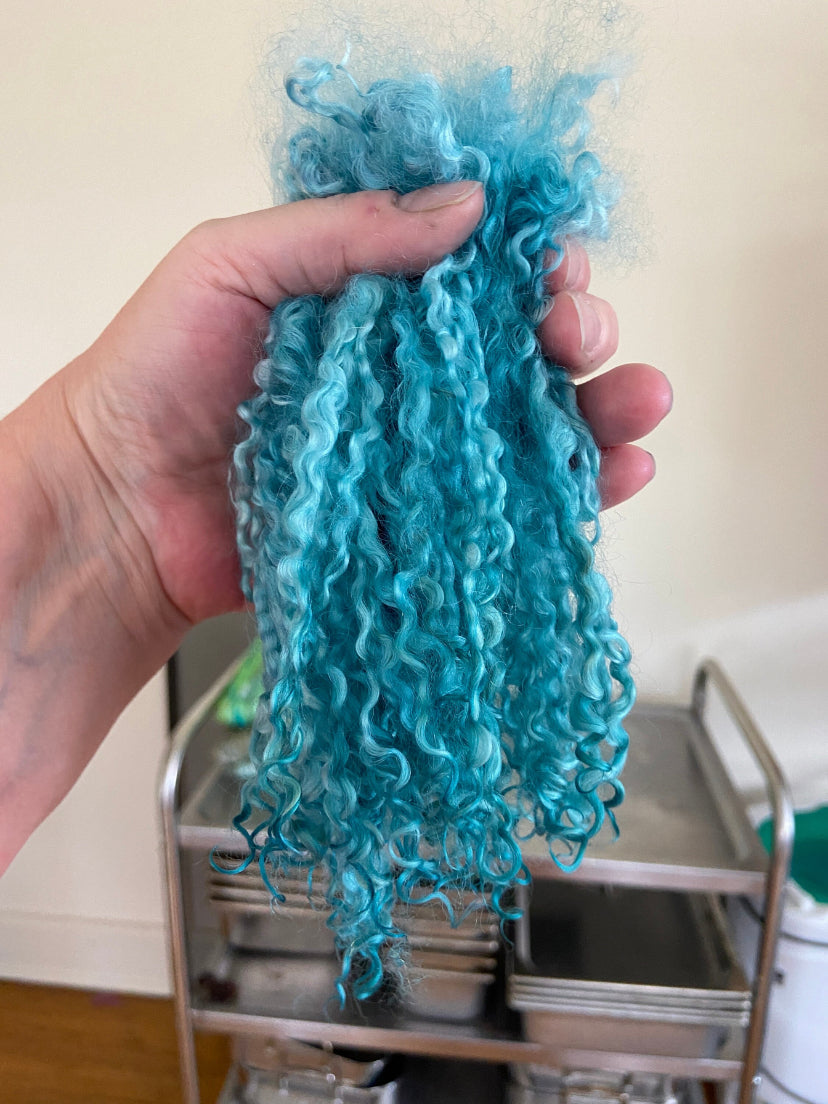 Wensleydale locks, Soft Aqua, 1 oz, 6-8 inches long, super clean, spinning, felting, fiber art, doll hair, nuno, lockspun yarn