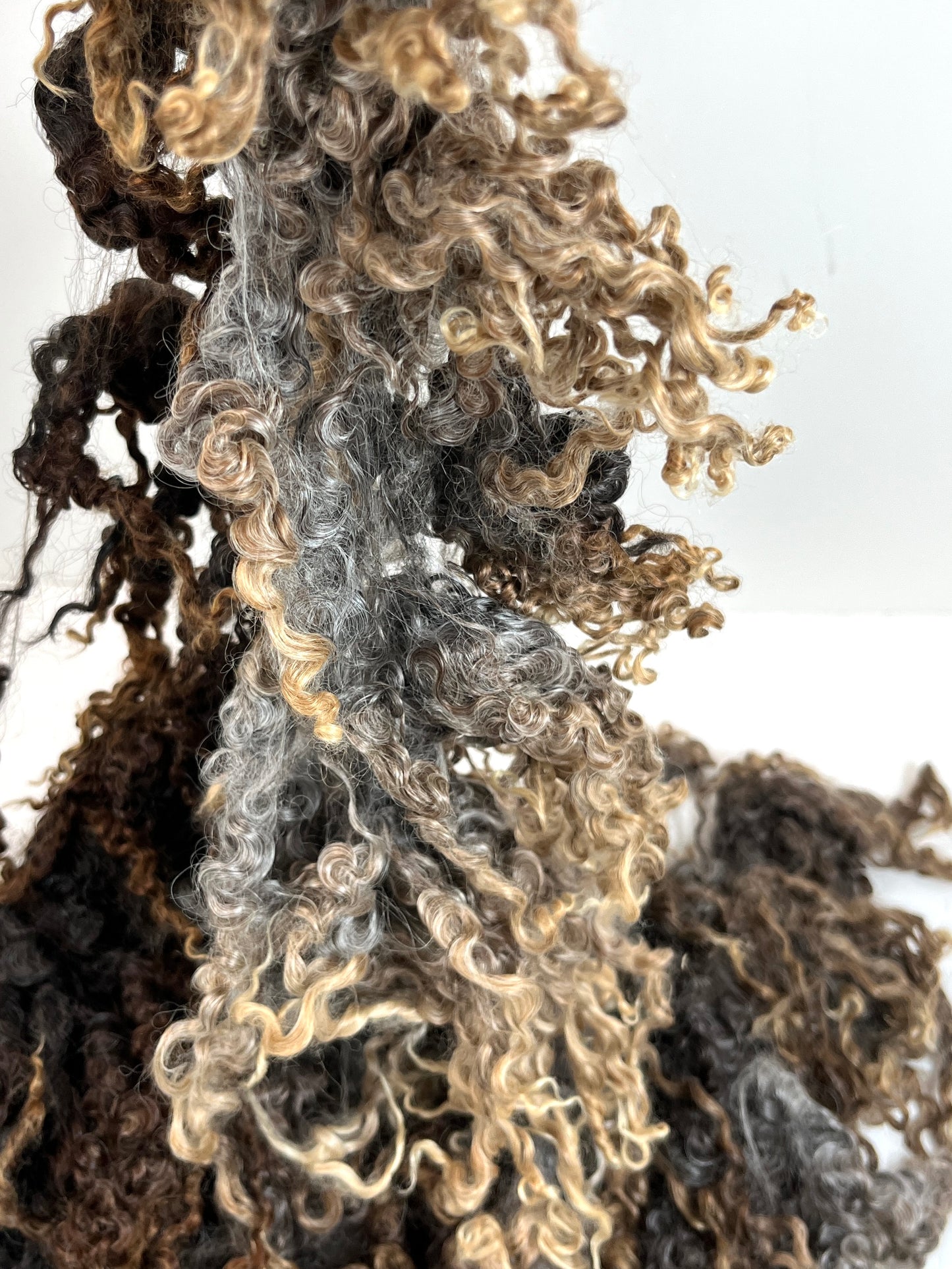 Undyed, Lightly Cotted, Long Gray Wensleydale locks, 8.8 ounces, clean, separated, spinning, felting, fiber art, doll hair, nuno, lockspun yarn, 0311-06