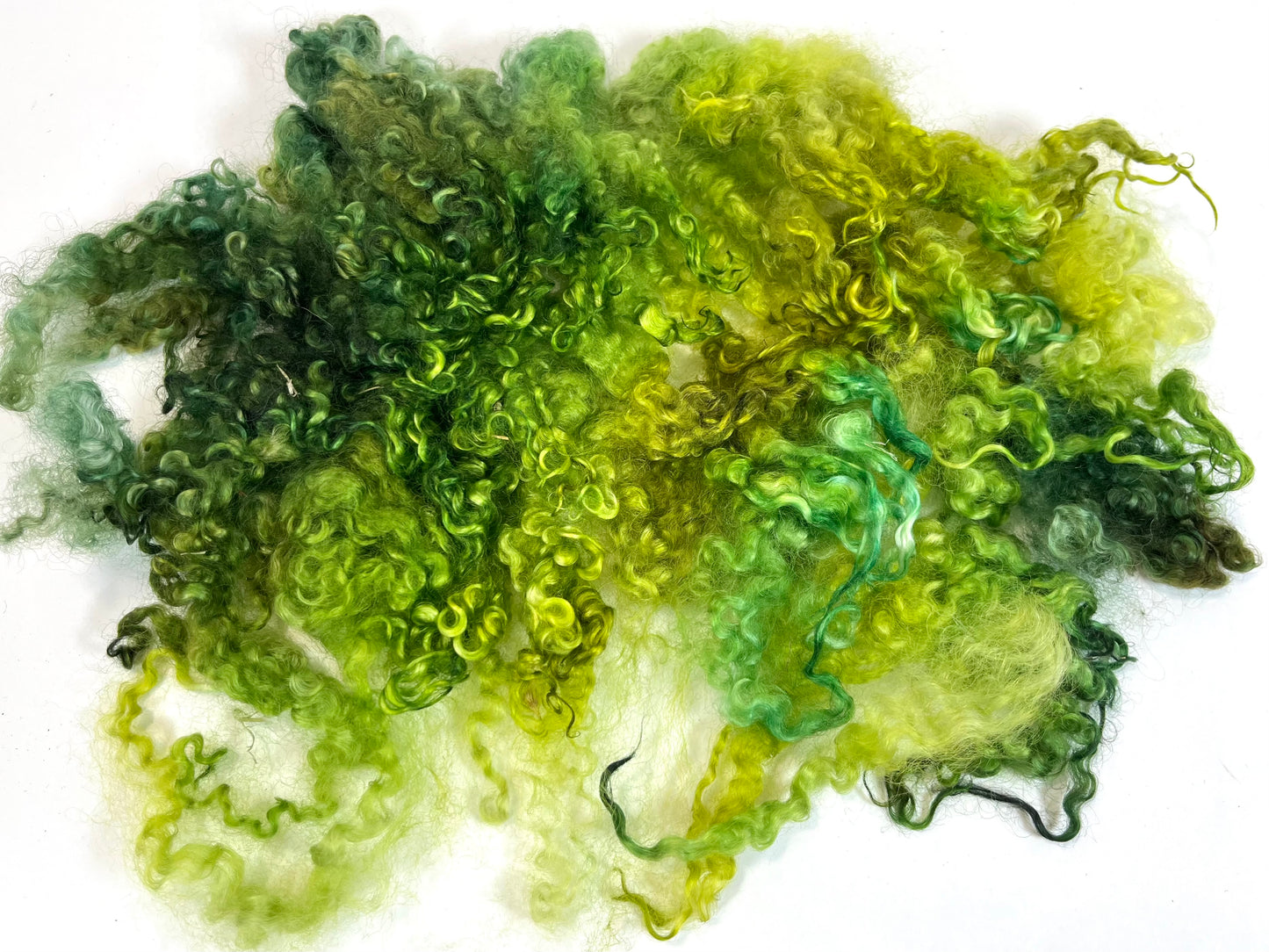 Wensleydale Locks, 1.4 oz, 0615-08, super clean, spinning, felting, fiber art, doll hair, nuno, lockspun yarn