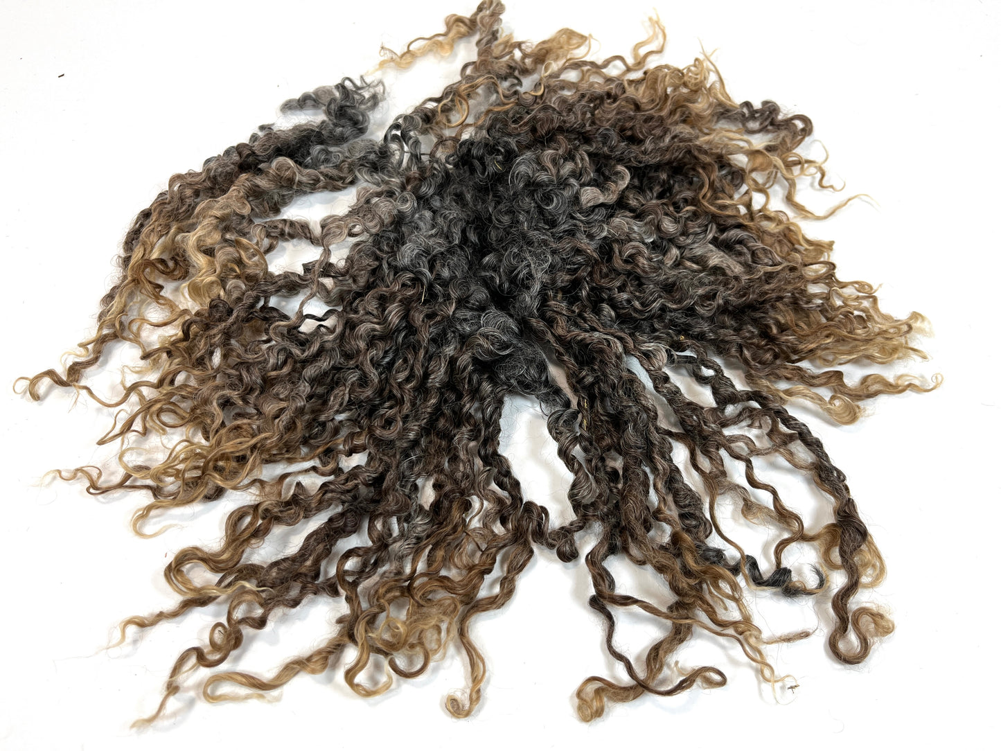 Undyed Long Gray Wensleydale locks, 2 ounces, clean, separated, spinning, felting, fiber art, doll hair, nuno, lockspun yarn, 0311-05