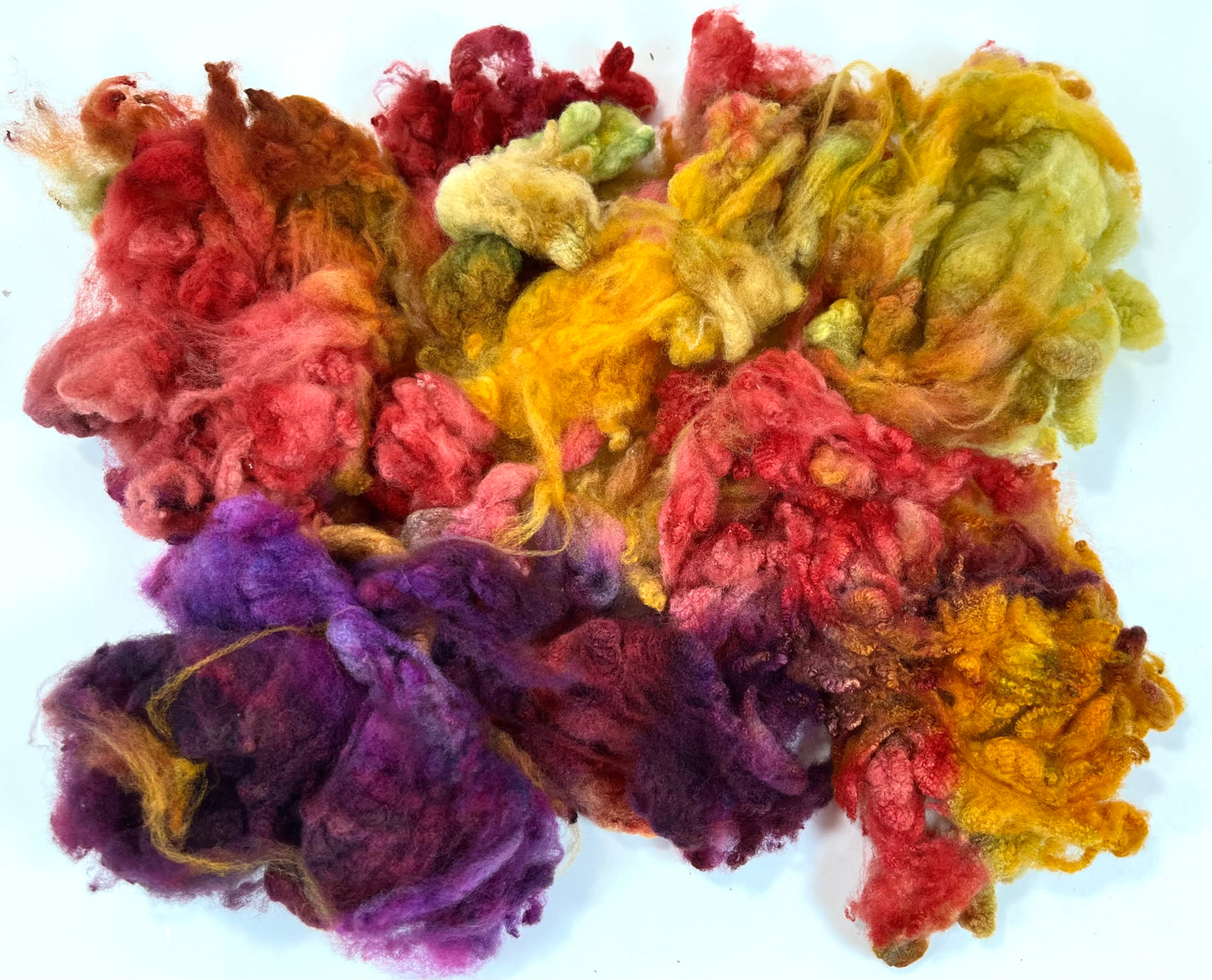 Cormo fleece, 2.3 oz, Curried Beets colorway, clean, top quality, spinning, felting, fiber art, doll hair, nuno, art yarn, 0717-02