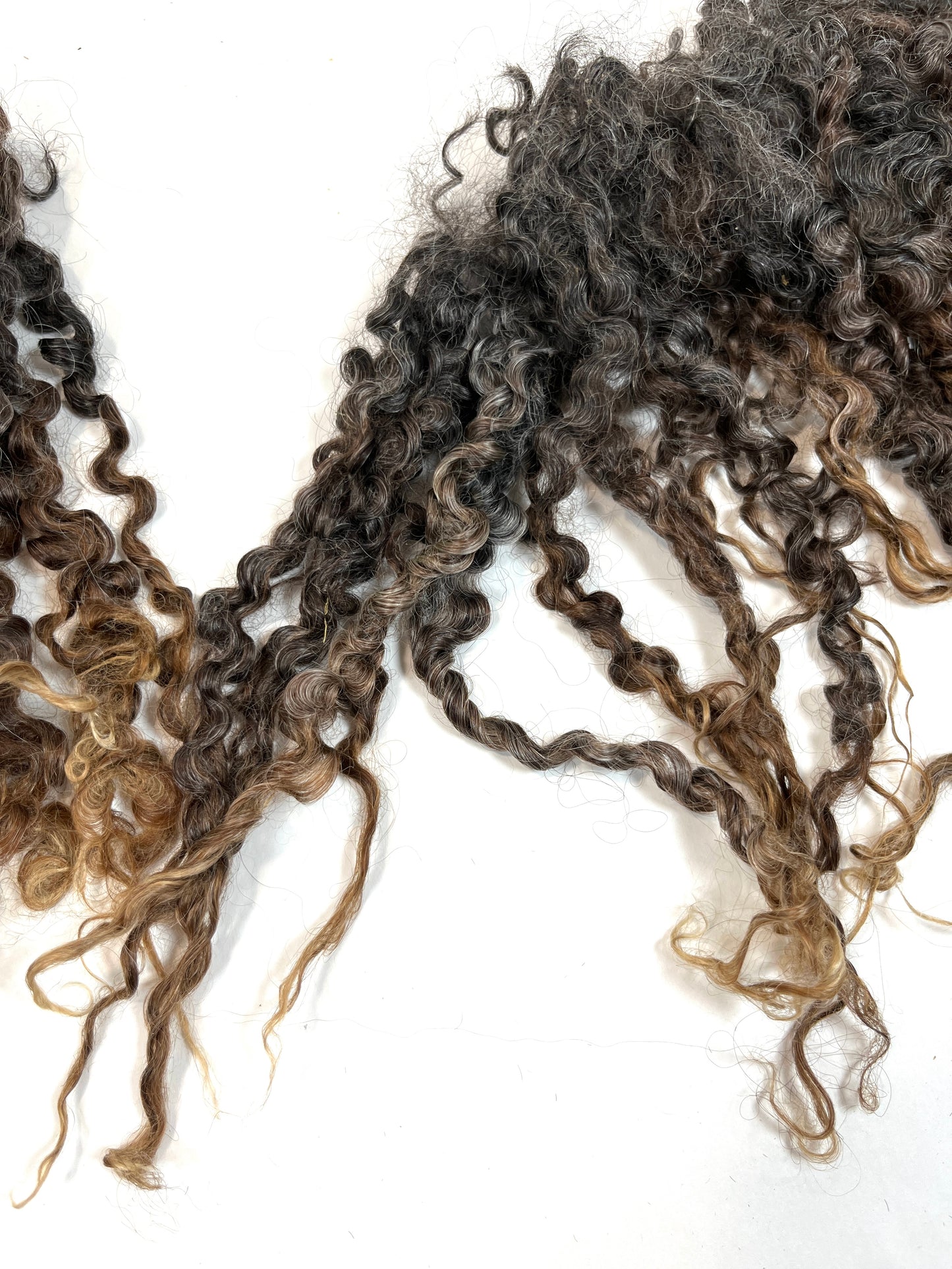 Undyed Long Gray Wensleydale locks, 1.5 ounces, clean, separated, spinning, felting, fiber art, doll hair, nuno, lockspun yarn, 0311-04