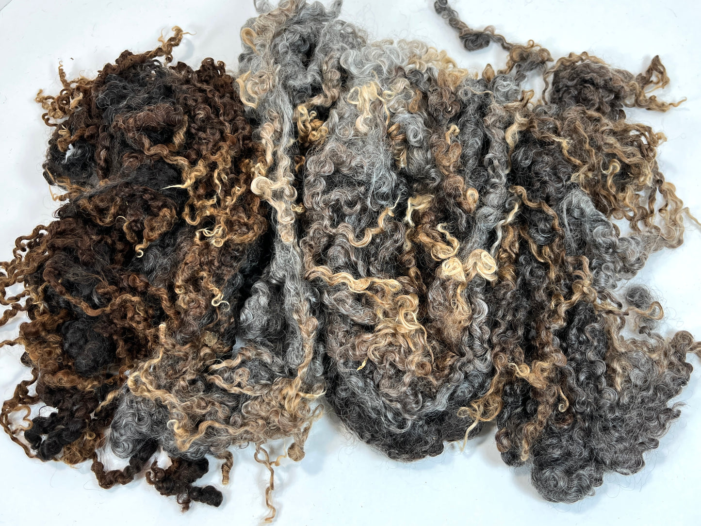 Undyed, Lightly Cotted, Long Gray Wensleydale locks, 8.8 ounces, clean, separated, spinning, felting, fiber art, doll hair, nuno, lockspun yarn, 0311-06