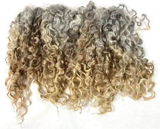 Undyed Long Natural Gray Wensleydale locks, 1.1 oz, clean, separated, spinning, felting, fiber art, doll hair, nuno, lockspun yarn, 0725-05