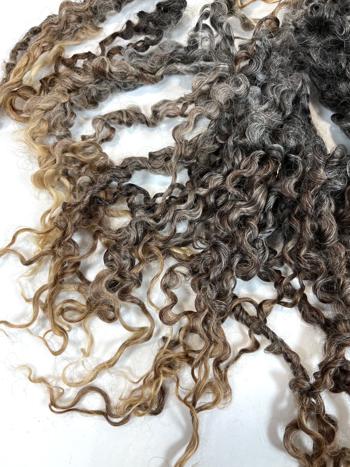 Undyed Long Gray Wensleydale locks, 2 ounces, clean, separated, spinning, felting, fiber art, doll hair, nuno, lockspun yarn, 0311-05