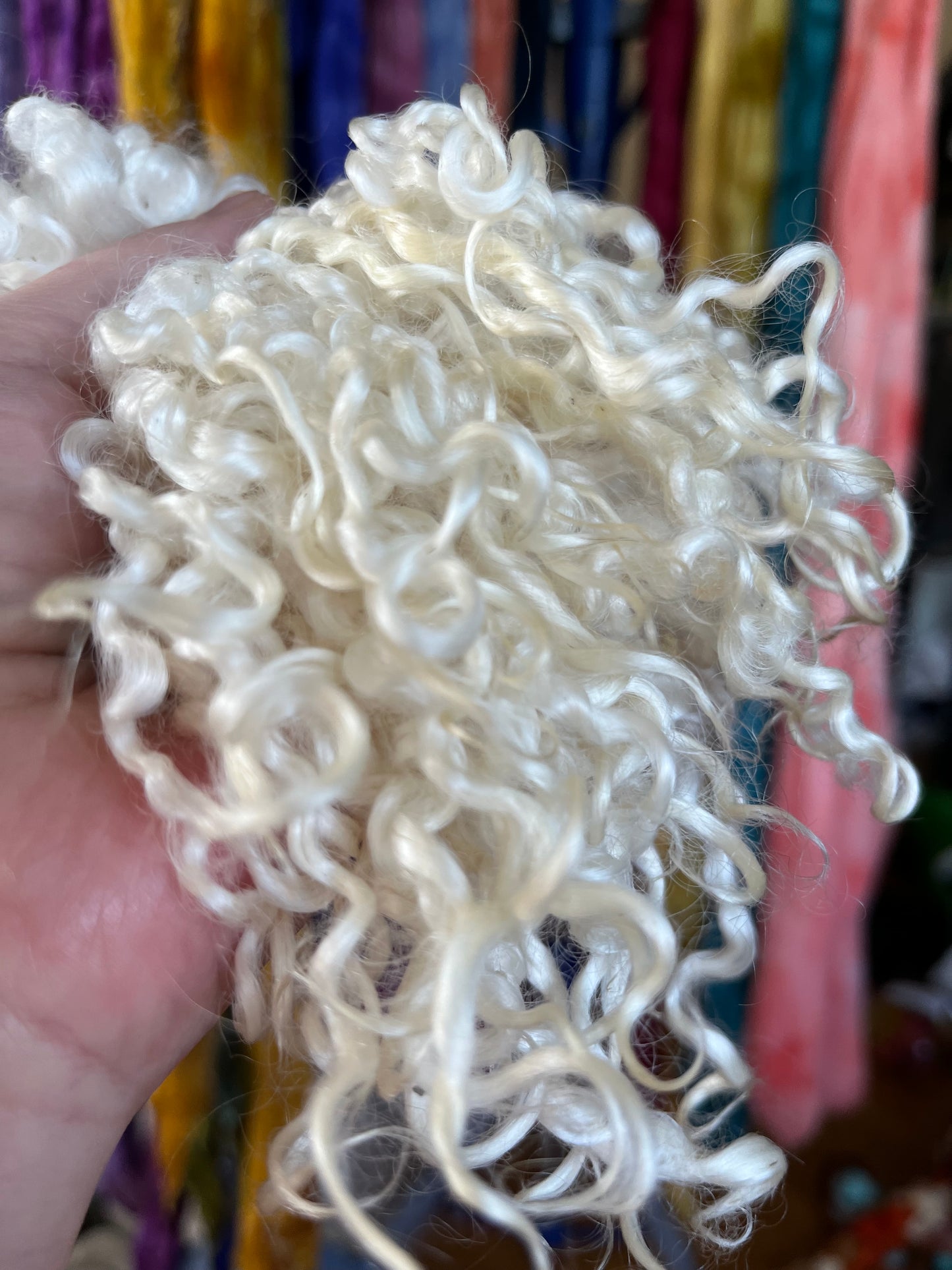 Undyed White Wensleydale locks, 1 oz, clean, separated, spinning, felting, fiber art, doll hair, nuno, lockspun yarn, 0715-06