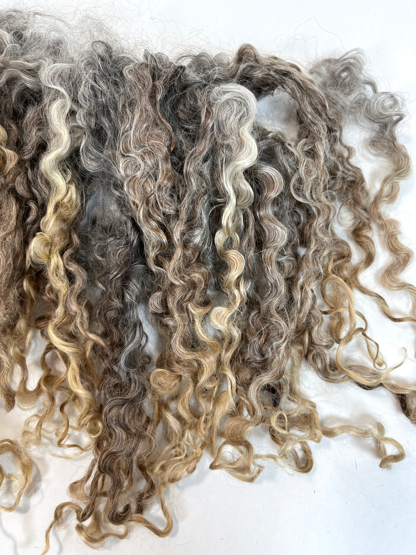 Undyed Long Gray Wensleydale locks, 1.5 ounces, clean, separated, spinning, felting, fiber art, doll hair, nuno, lockspun yarn, 0311-03