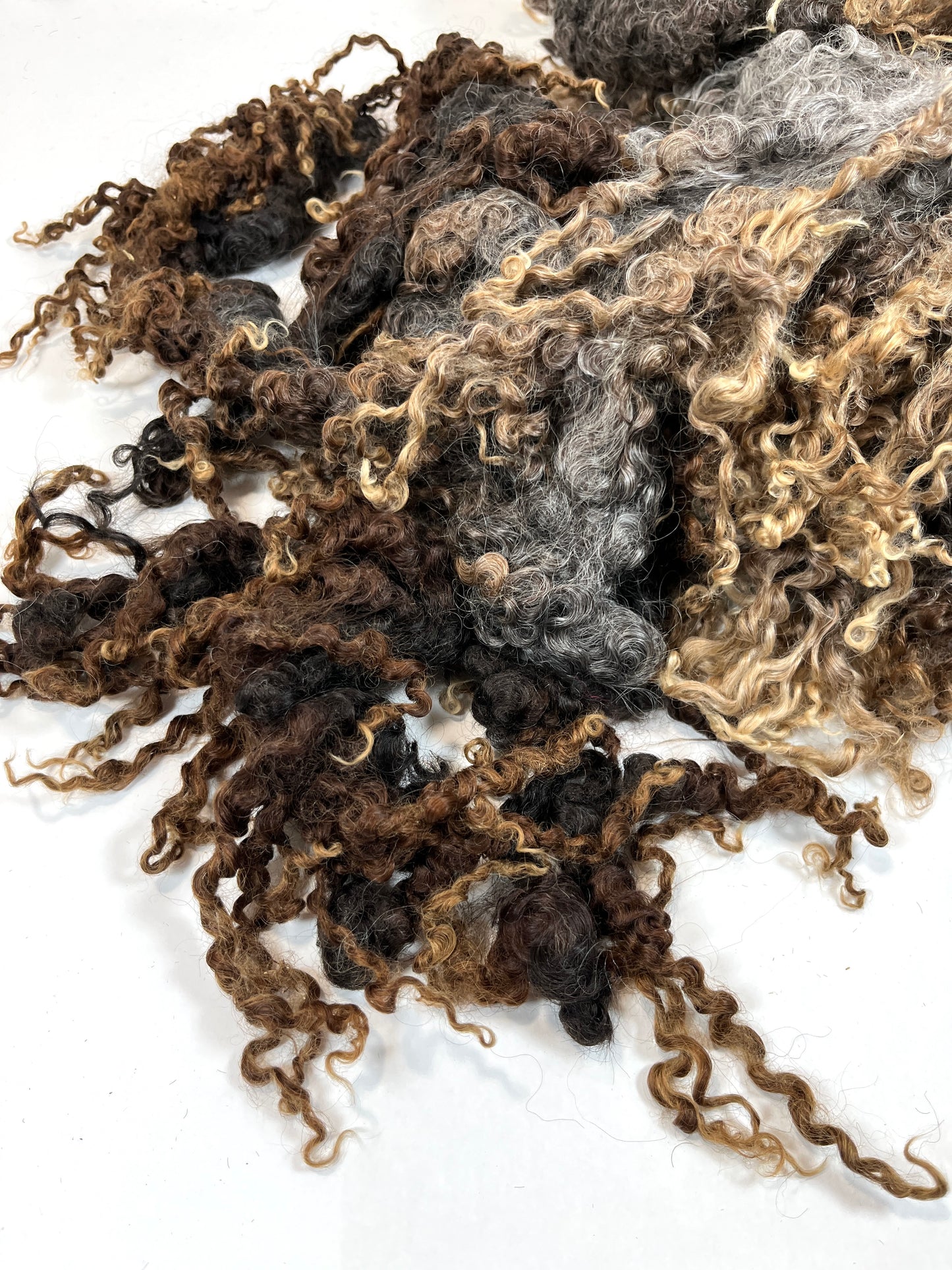 Undyed, Lightly Cotted, Long Gray Wensleydale locks, 8.8 ounces, clean, separated, spinning, felting, fiber art, doll hair, nuno, lockspun yarn, 0311-06