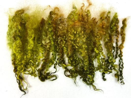 Wensleydale Locks, .4 oz, 6-7 inches long, Khaki, super clean, spinning, felting, fiber art, doll hair, nuno, lockspun yarn