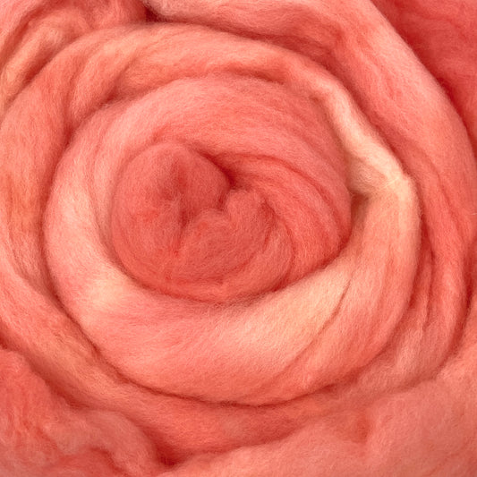 Coral - 2 oz hand dyed semisolid wool combed top