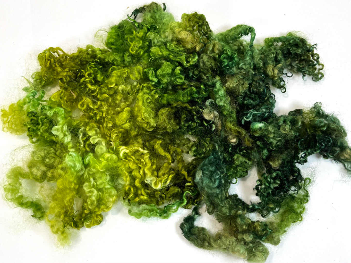 Wensleydale Locks, 1.6 oz, 0615-09, super clean, spinning, felting, fiber art, doll hair, nuno, lockspun yarn