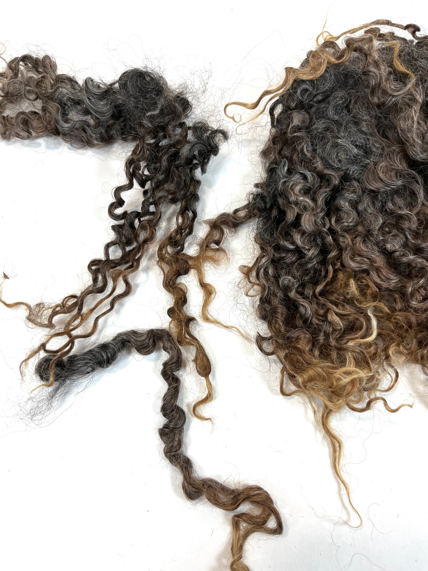Undyed Long Gray Wensleydale locks, 1.5 ounces, clean, separated, spinning, felting, fiber art, doll hair, nuno, lockspun yarn, 0311-04